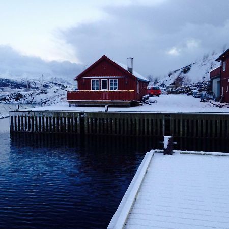 Svolvaergeita Apartments Luaran gambar